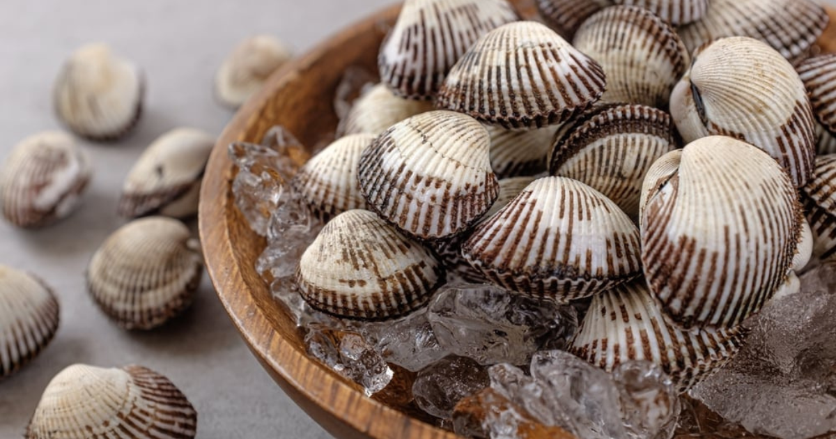 shellfish